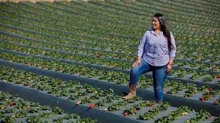 Meet Mayra Paniagua — Second-Generation California Strawberry Farmer