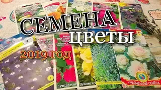 СЕМЕНА- ЦВЕТЫ 2019г/ лаванда/шток-роза/декоративная капуста/петуния/бархатцы#seed