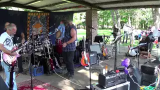 Evil Ways - Santana - Neighborhood Picnic Band 2014