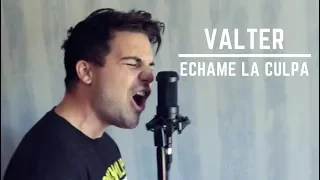 Echame La Culpa - Demi Lovato & Luis Fonsi (Pop Punk/Metal Cover) - Valter