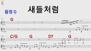 새들처럼 변진섭 G/통기타카포.오카리나 악보영상