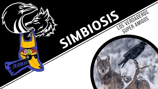 Simbiosis animales: El video son los amigos que hicimos en el camino. | Ep 61 | CULTURA COLMILLUDA