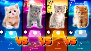 CUTE CATS BLACKPINK LISA MONEY VS BTS FAKE LOVE VS THUNDER VS JUSTIN BIEBER & TILES HOP EDM RUSH