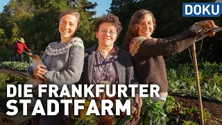 Erfolgreich mit Permakultur? -  Die Frankfurter Stadtfarm | doku | erlebnis hessen