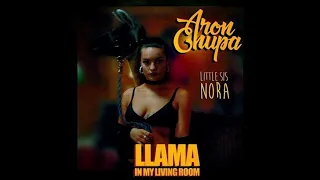 Lamma in my living room (remix by dj kose)