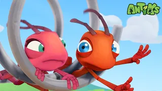 Spring Fever  | 😄🐜| Antiks Adventures - Joey and Boo's Playtime