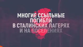 Холокост в Балтии | Инфографика