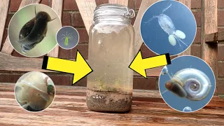 Creating A New ECOSPHERE - Extreme Biodiversity! (Homemade Ecosphere)