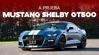 Ford Mustang Shelby GT500, a prueba: un muscle-car de alto calibre que arrebata suspiros