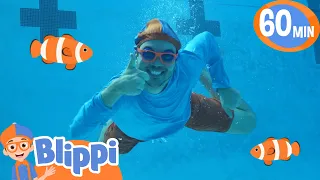 Blippi Learns How to Scuba Dive! | Blippi Wonders Educational Videos for Kids