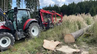 Holztransport ist unser Lieblingssport || Steyr Kompakt mit Krpan Rückewagen ||