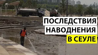 ПОСЛЕДСТВИЕ НАВОДНЕНИЯ В СЕУЛЕ  КОРЕЯ  ВЛОГ