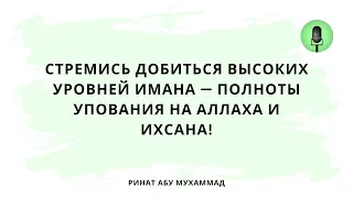 1531. Стремись добиться высоких уровней имана — полноты упования на Аллаха и ихсана!