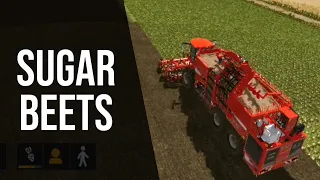 How to make Sugar Beets in Farming Simulator 20 ? | Farming Simulator 20 Tutorial