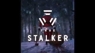 True Stalker 10 серия. Глава 7 . " В черной заводи колодца " За вояку