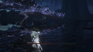 DKS3 NG+++ Mina Fights Midir