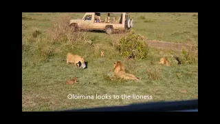olobor tries to kill his brother oloimina