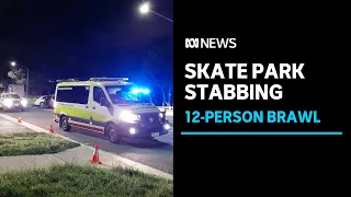 Teen accused of murdering man at Canberra skate park during brawl | ABC News