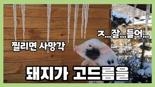 처음으로 본 반응