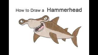 How to Draw a Hammerhead Shark (Cartoon)