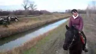 Passeggiata a cavallo