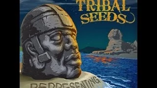 Tribal Seeds - Representing *FULL ALBUM* *NEW 2014*