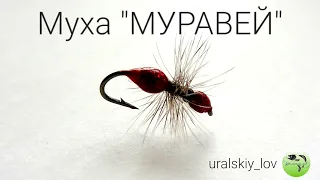 Муха "МУРАВЕЙ"