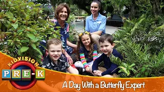 A Day With a Butterfly Expert | Butterfly World Virtual Field Trip | KidVision Pre-K