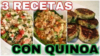 QUINOA 3 RECETAS FÁCILES | LUNES SIN CARNE | By VISAN