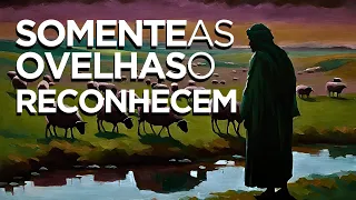 SOMENTE AS OVELHAS O RECONHECEM / Culto ComBC ao vivo