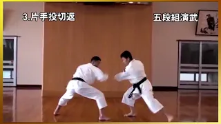 5 Dan kumi-embu Shorinji Kempo. Demonstrations techniques, goho, juho. 少林寺拳法