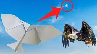 How to Make Paper Airplane Bird that Fly Far as an Eagle - Over 350 Feet