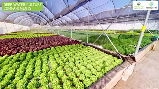 Guided virtual tour of aquaponics farm in Hekpoort, Gauteng (South Africa)