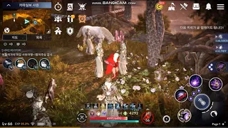 Black Desert Mobile Скрытые знания Храм Камасильва