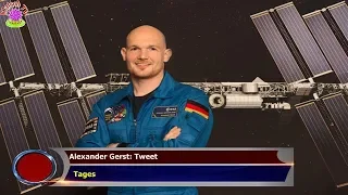 ALEXANDER GERST: TWEET   TAGES