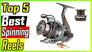 Top 5 Best Spinning Reels Review in 2023