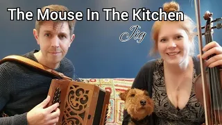 Mouse In The Kitchen (jig, Colin Farrell) - fiddle and accordion