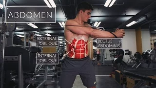 Exercise Anatomy: Abs Workout | Pietro Boselli