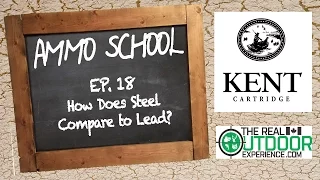 Ammo School EP 18 - How does Steel compare to lead?