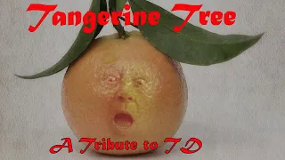 Tangerine Tree - A Tribute to Tangerine Dream