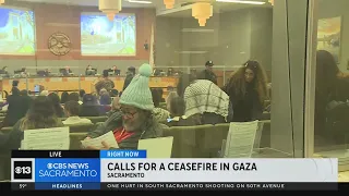 Group calls for Gaza ceasefire at Sacramento City Council meeting