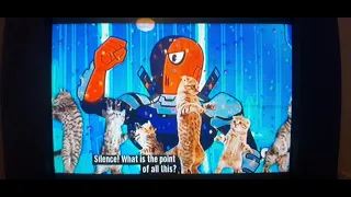 🐱CATtoon Network🐱