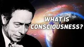 What is Consciousness ? - Alan Watts About The Patterns Of Life