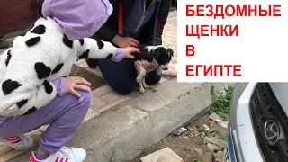 ЕГИПЕТ: ДОБРОТА НЕ ЗНАЕТ ГРАНИЦ!!!