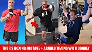 John Meadows Recovery Update + Thor Leaks NEW Boxing Footage + Arnold Trains with Pet Donkey + MORE