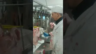 Робота на мясо комбінаті в Польщі