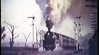 In Steam - NSWGR 1959-62