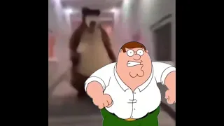 bear chasing Peter Griffin down hall