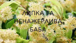 Аудіоказка - Липка та зажерлива БАБА