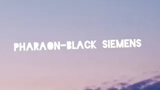 Pharaon-Black Siemens ᴡʜɪᴛɪᴢ-remix-_- Bass Boost
